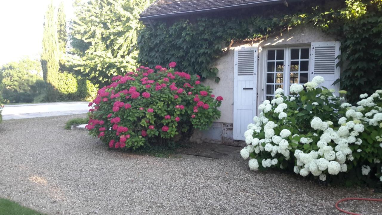 Bed and Breakfast Domaine De L'Oiseau Gergy Exterior foto