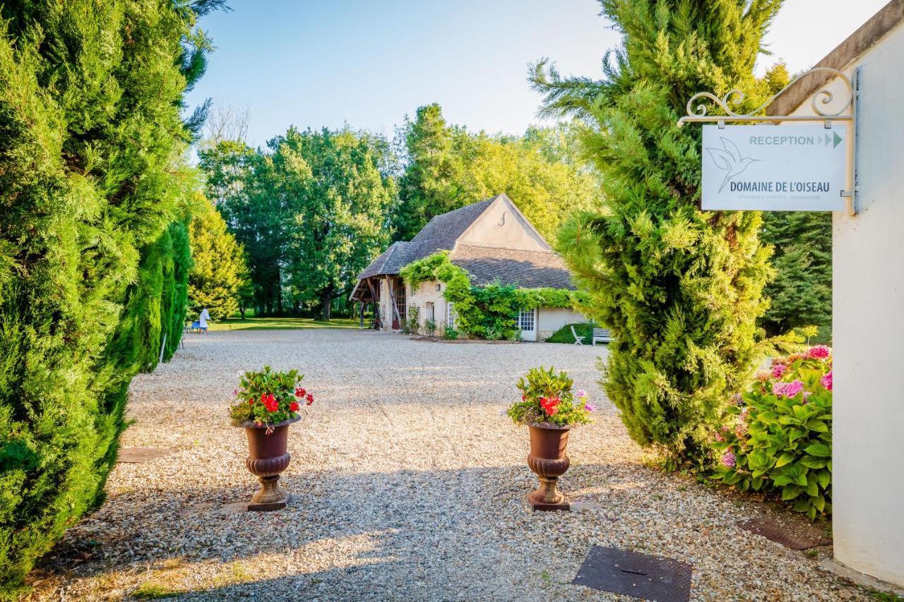 Bed and Breakfast Domaine De L'Oiseau Gergy Exterior foto